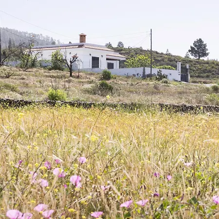 Ferienhaus Live Adeje Taucho Relax Place With Terrace